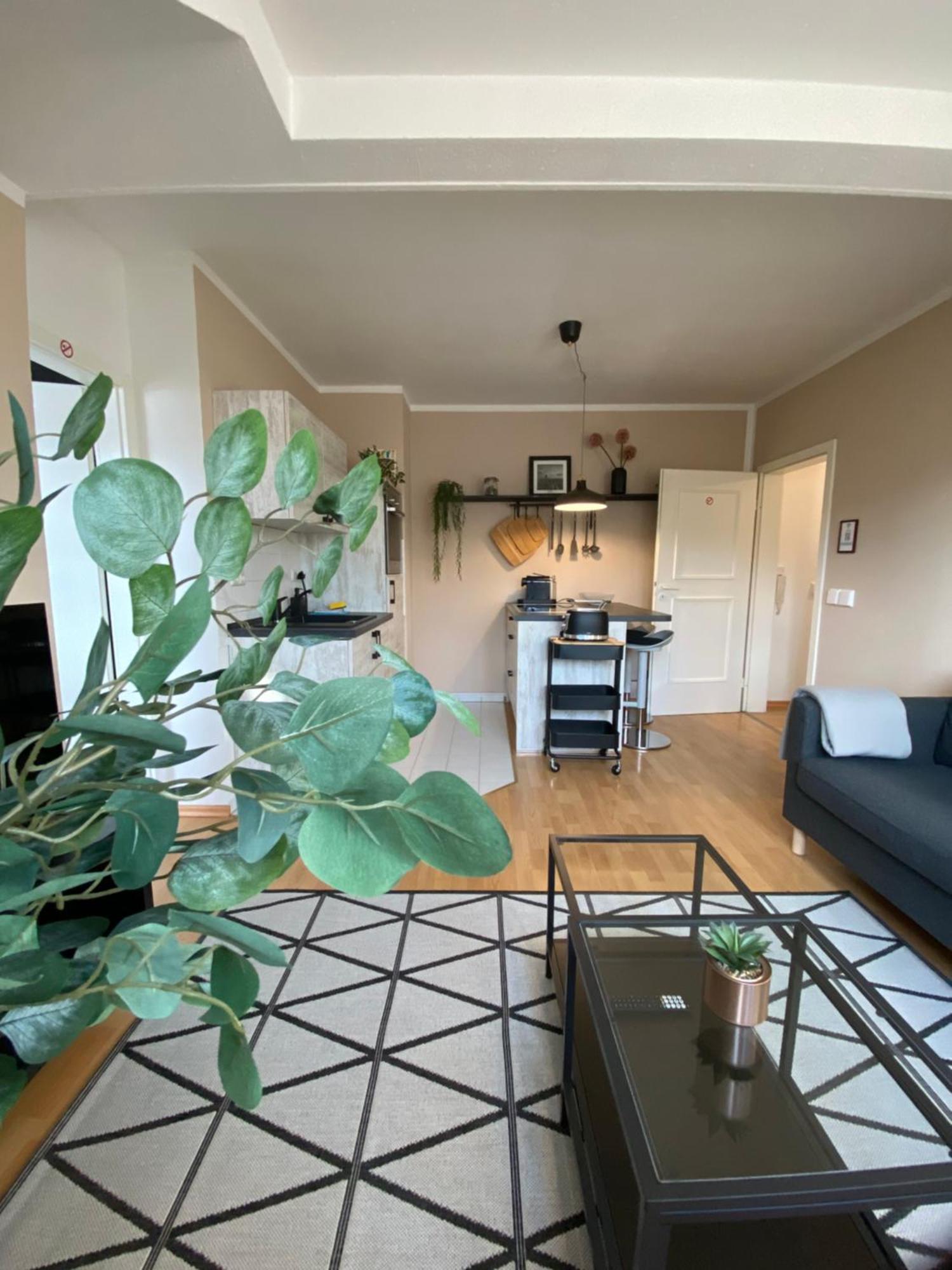 Appartement K2-project - Gipfelstuermer - Ueber Den Daechern Von Schlosschemnitz *